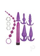 Purple Elite Collection Anal Play Kit